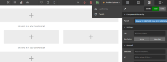 publish